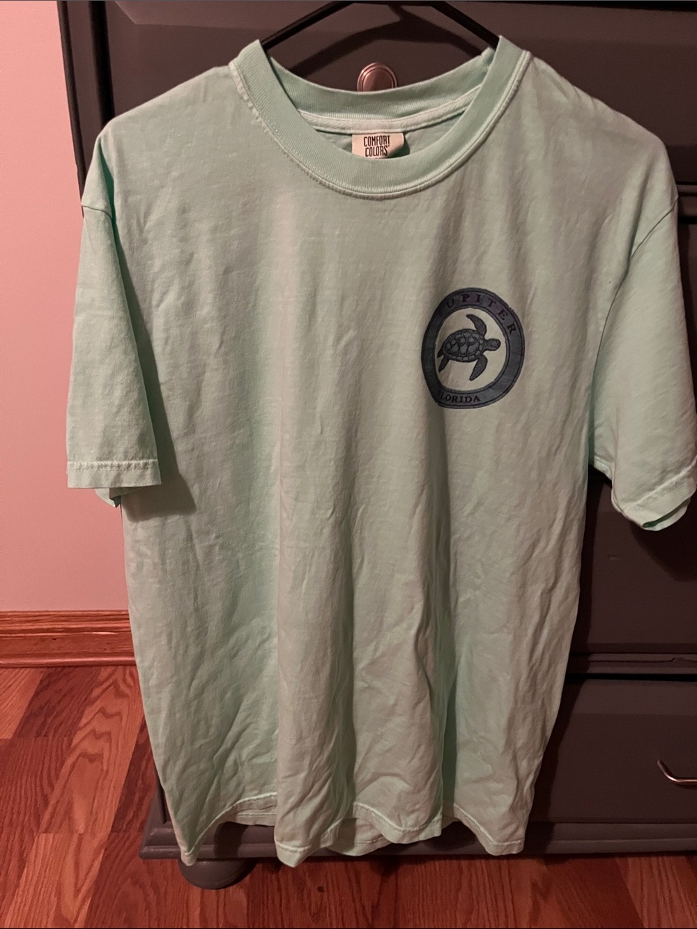 Comfort Colors Men's Seafoam Short Sleeve Graphic Tee - Turtle Logo Jupiter